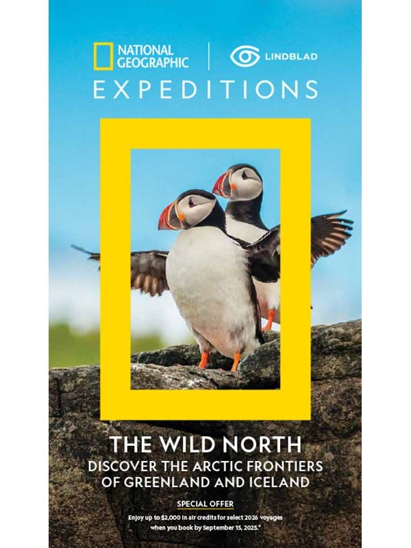 The Wild North 2026