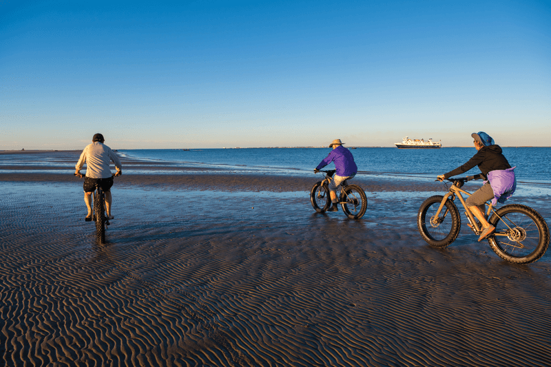 Guests ride Fat-tire bikes in sand dollar beach, Isla Magdalena, Baja California Sur, Mexico
