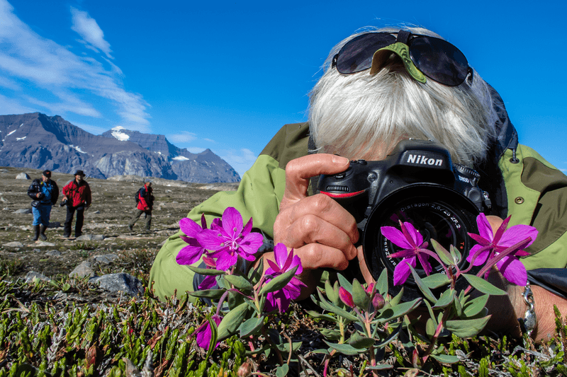 Photographer, Sisse Brimberg, capturing dwarf fireweed in Heckla Haven, Northeast Greenland