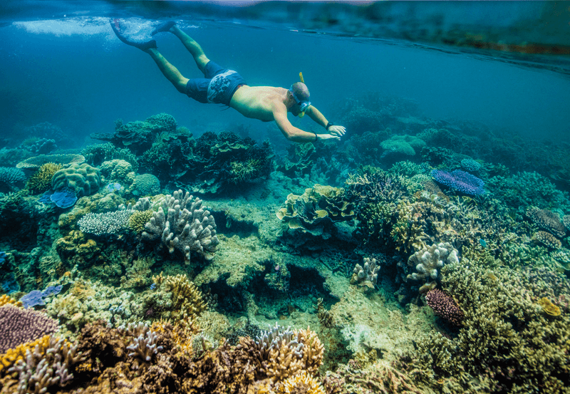 A guest snorkeling in Pulau, Indonesia