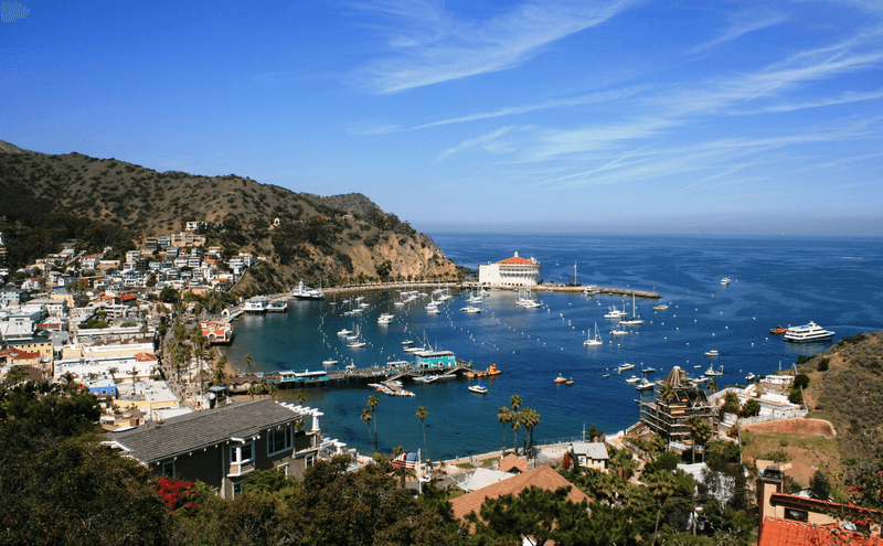 View from above of the bay and casino, Avalon, Santa Catalina Island, California, USA