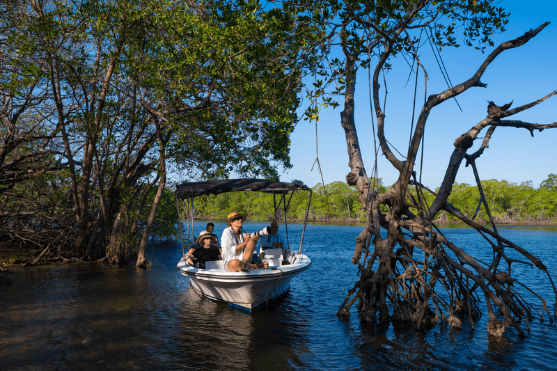 Guests exploring Tamarindo estuary in the National Wildlife Refuge in Guanacaste, Costa Rica