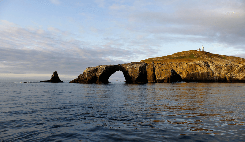 Anacapa Island off the coast of California. A marine sanctuary and part of the Channel Island National Park, USA