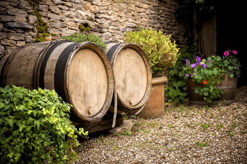 Barrels for wine in Burgundy, France.
