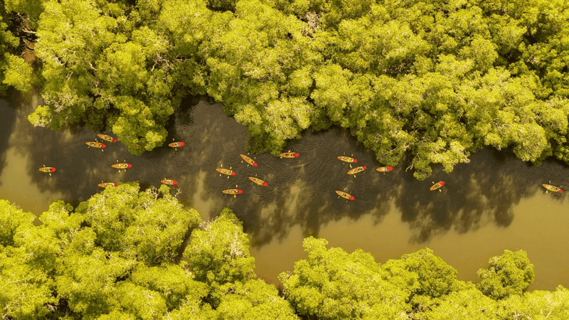 The 25 Best Expedition Photos of 2025  - Article