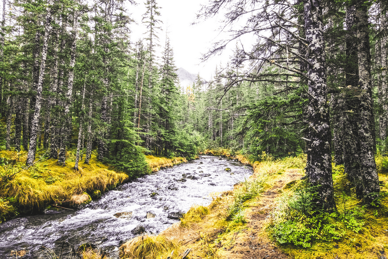 Wild creek, Cordova, Alaska.