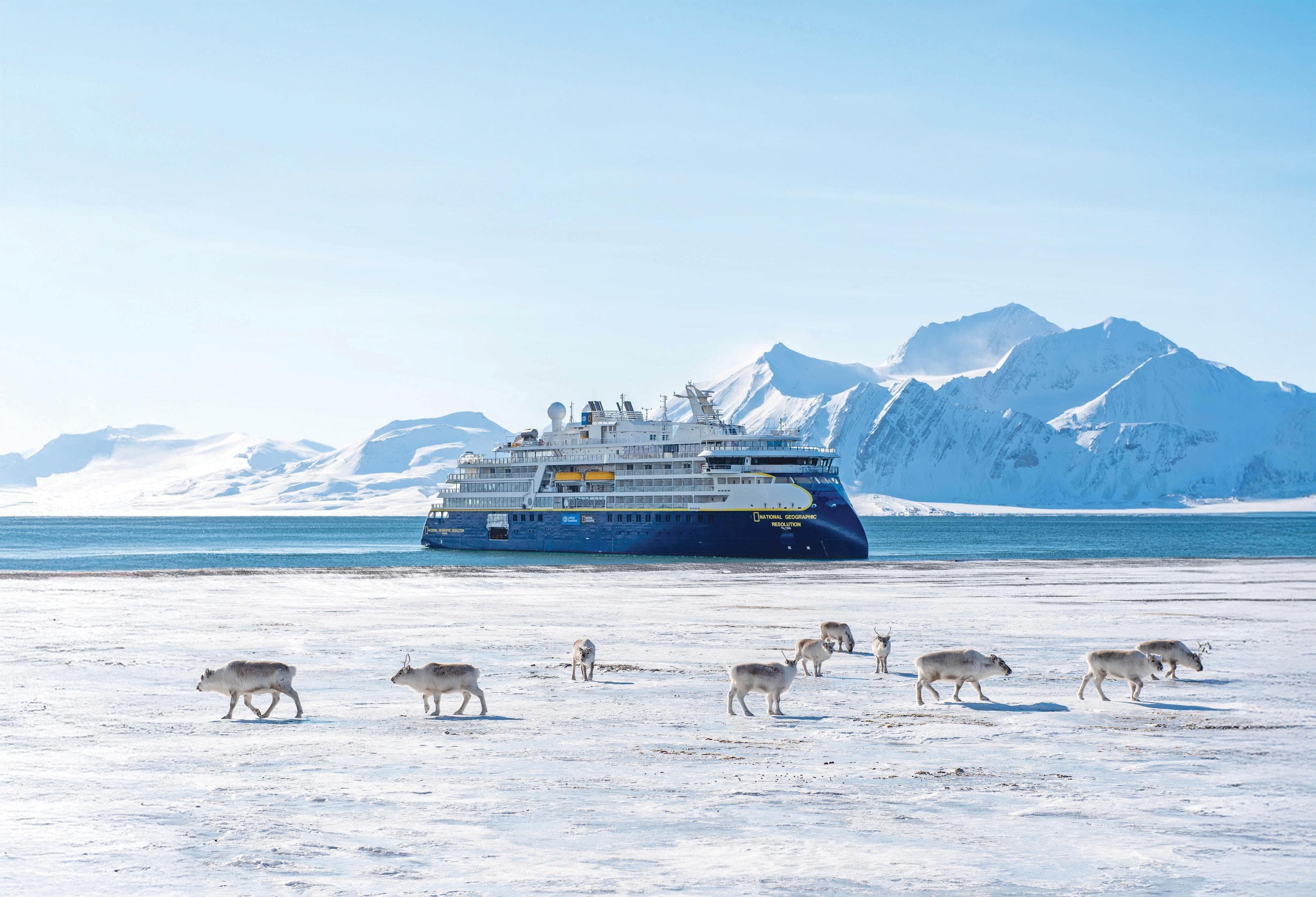 A view of reindeer with the ship National Geographic Resolution in the background, Svalbard Archipelago, Norway.