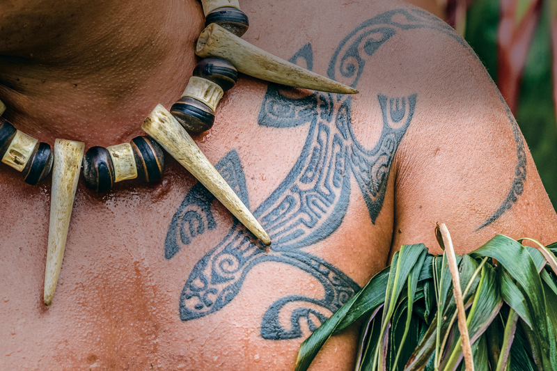 A detail of native a tatoo on a mans chest for a cultural perfromance , Nuku Hiva, Marquesas, French Polynesia