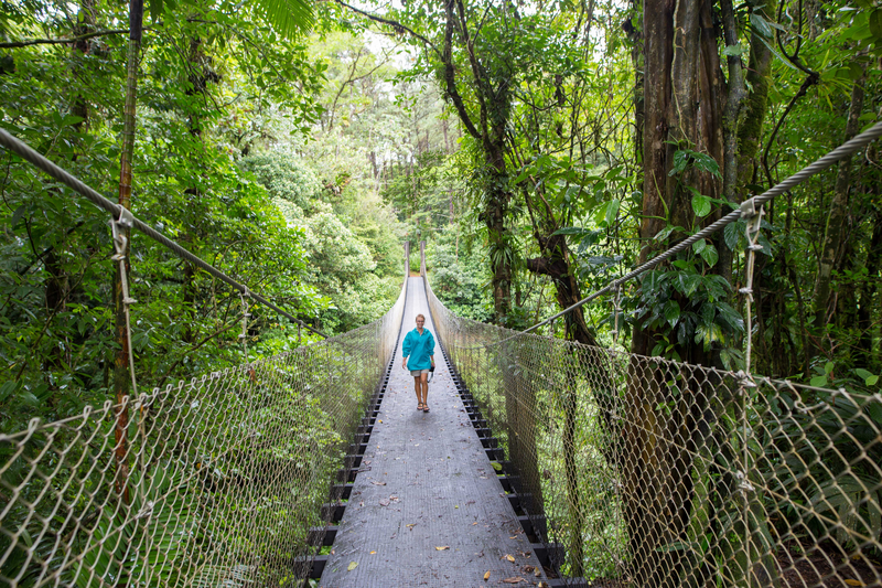 A guest walking over a hanging bridge in Monteverde Cloud Forest Biological Preserve, Monteverde, Costa Rica
