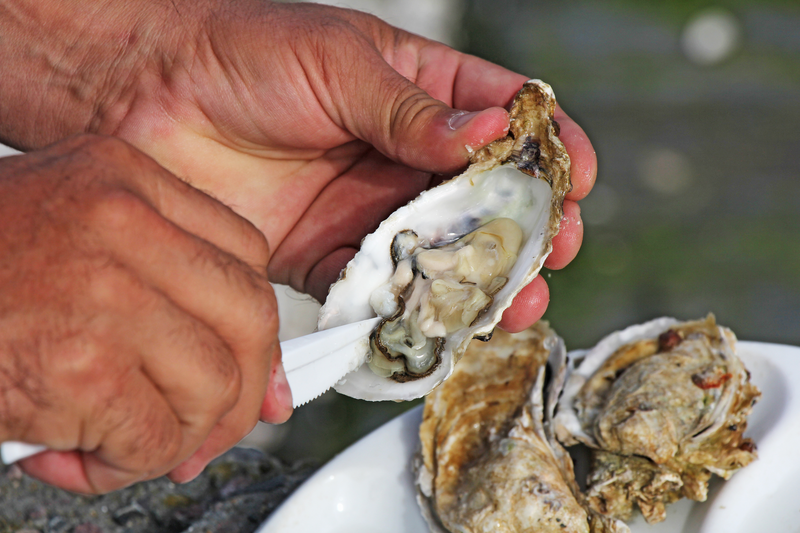 A guest chucks fresh oysters in Cancale, France