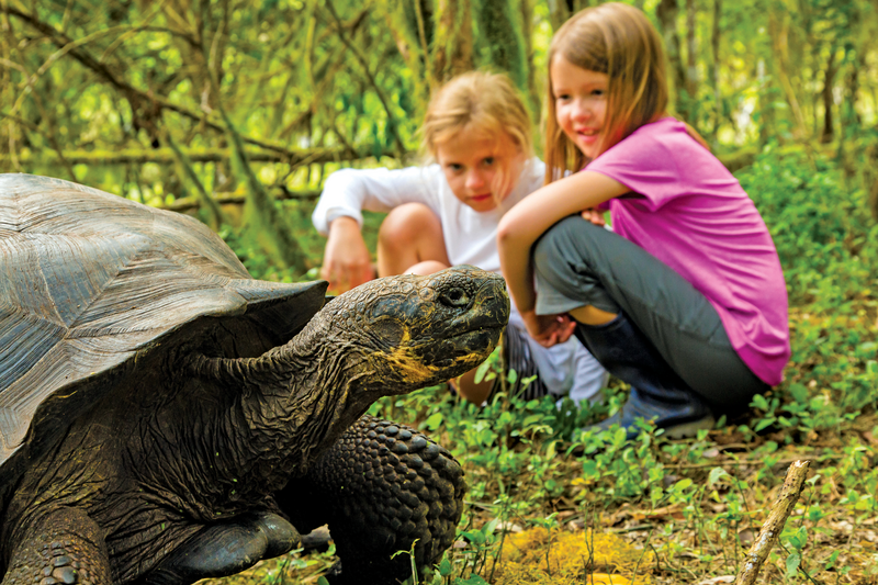 Young Explorers watch a Galapagos giant tortoise  on Santa Cruz Island, Galapagos Islands, Ecuador