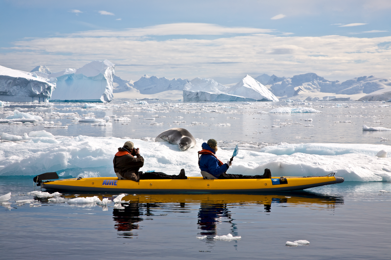 Guests out in a kayak photographing seals in Antarctica