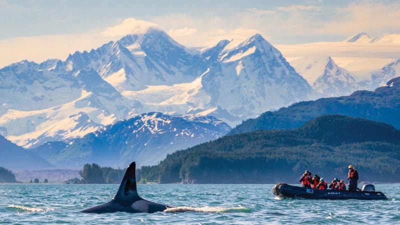 What to Expect: Exploring Southeast Alaska in Summer - Video
