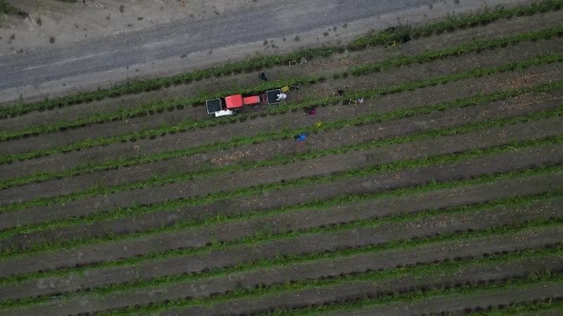 In Good Company: Food, Wine and History with Ray Isle - Video