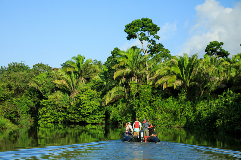 Guests zodiac up Monkey River in Belize