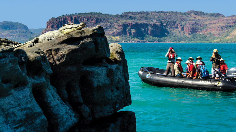 Guests photograph a crocodile by Zodiac in the Kimberley, Australia 