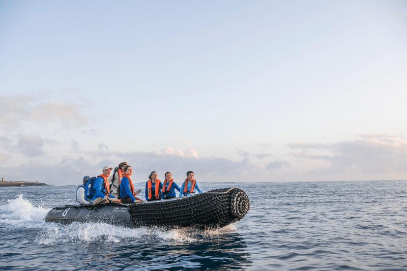 7 Inspiring Activities for Young Explorers in Galápagos - Article