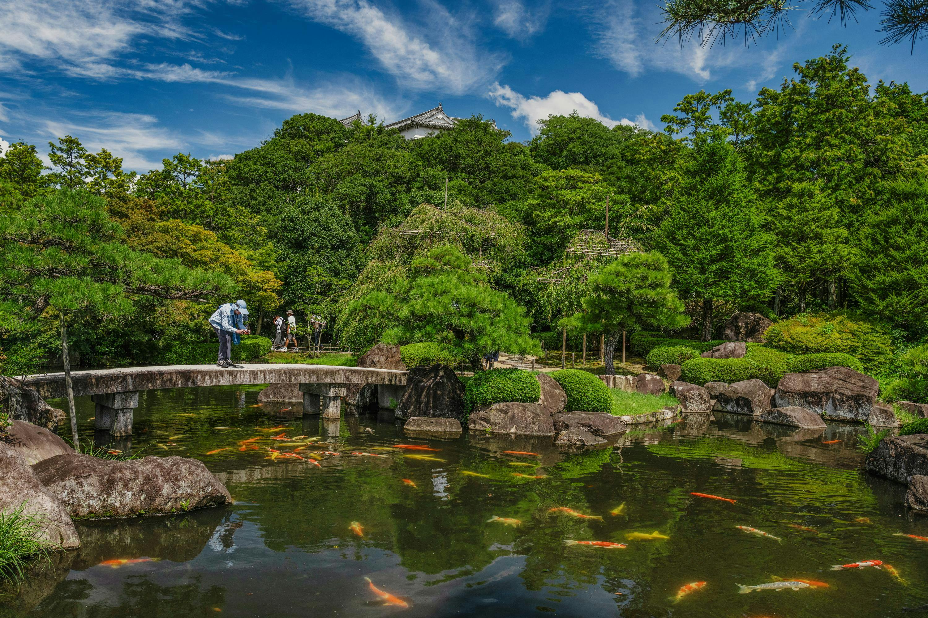 (non-Lindblad Guest) The tranquil beauty of Kokoen Japanese Garden, nestled beside Himeji Castle in Hyōgo Prefecture, Japan.
