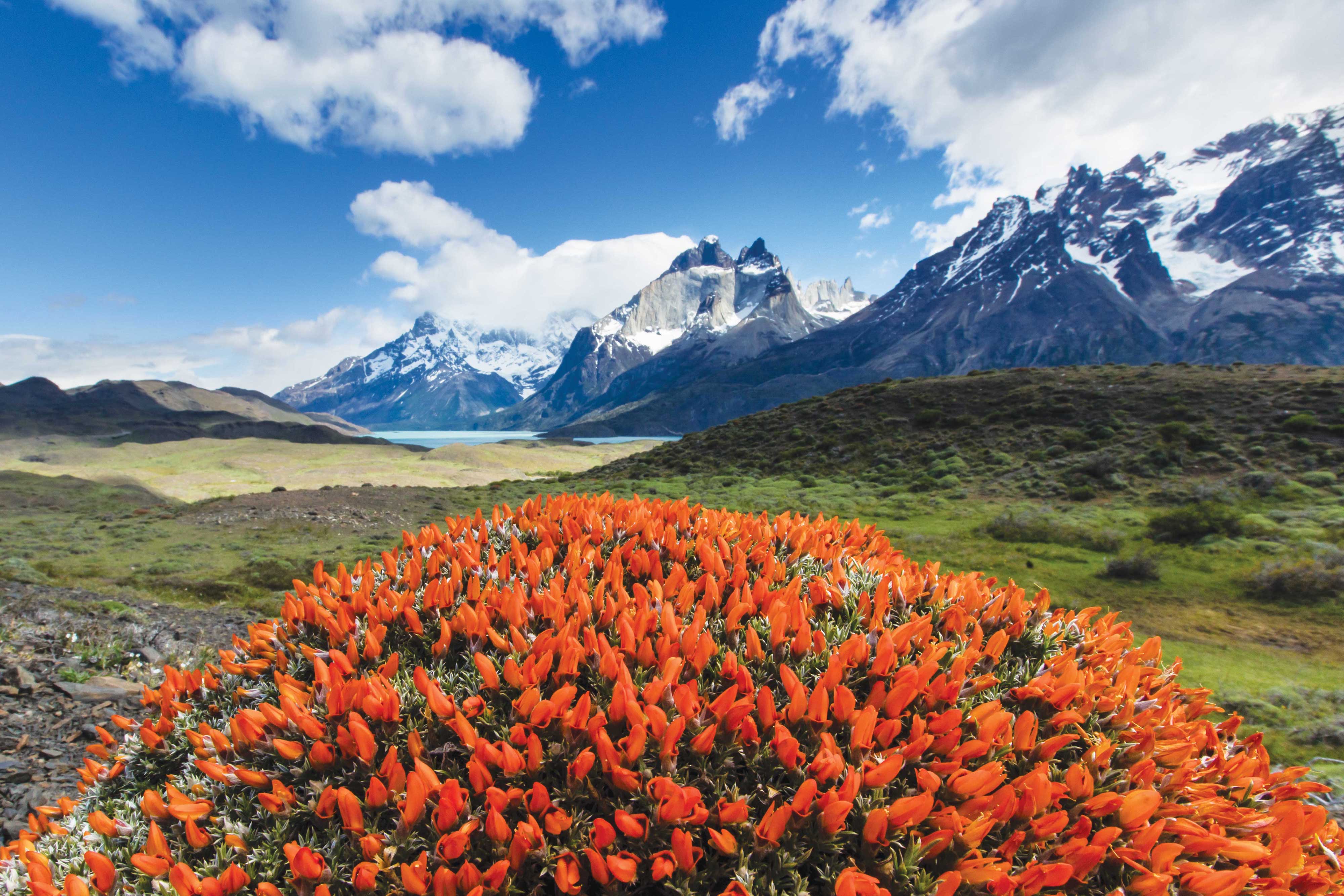 Hero Image Torres-del-Paine Main RLH.jpg