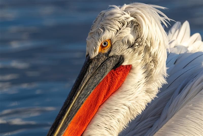 shutterstock 2507468539