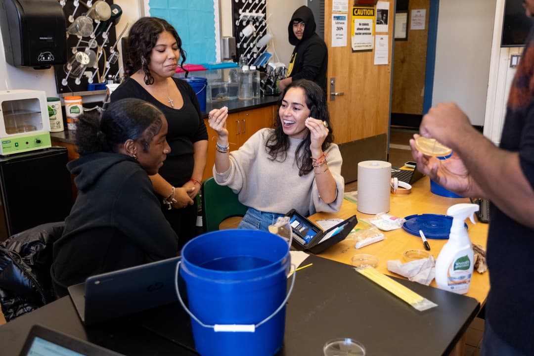 Teachers at Sea: Using Travel to Shape the Next Generation of Global Stewards - Article