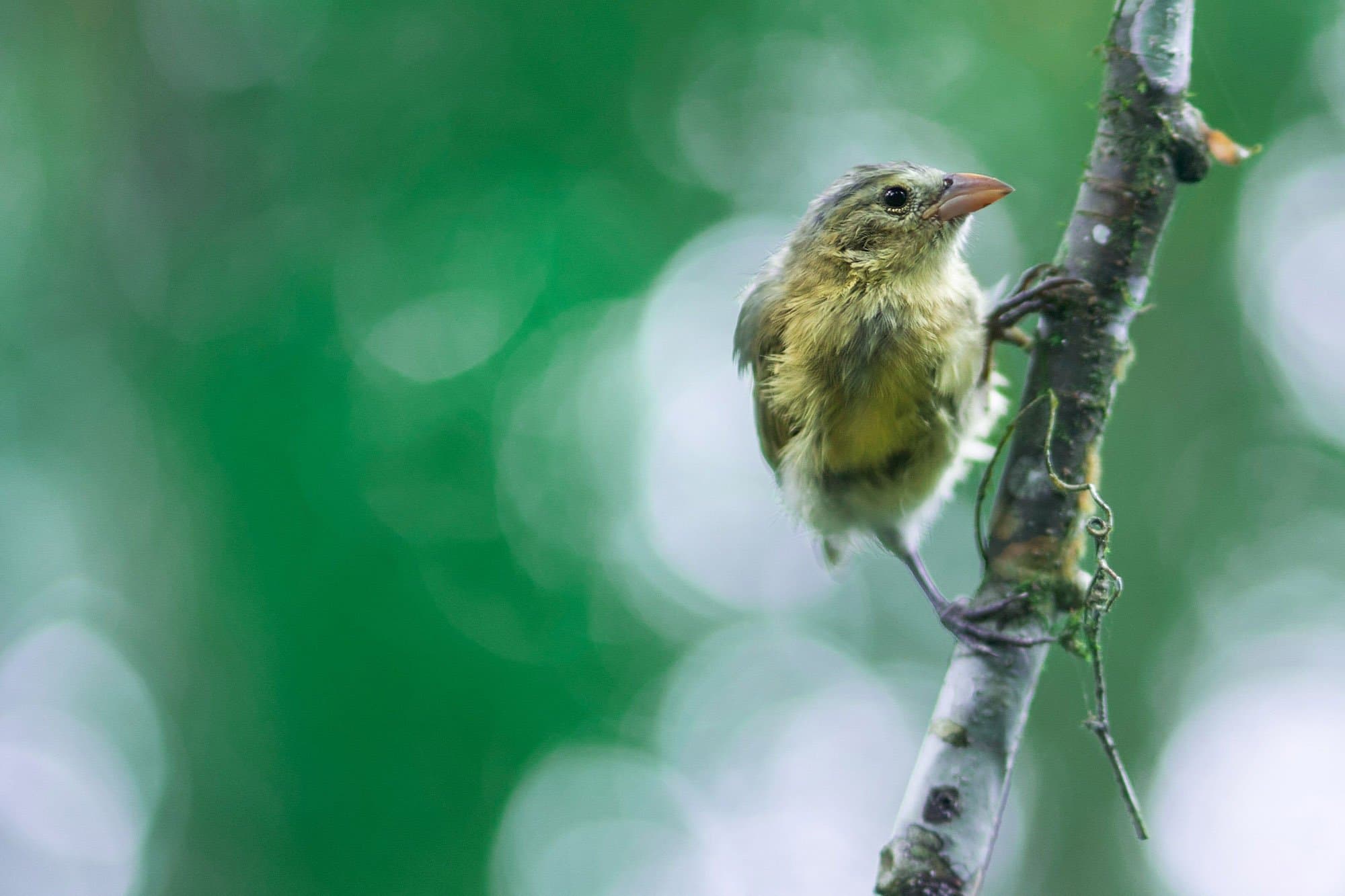 Photograph by: Bernie Jacome