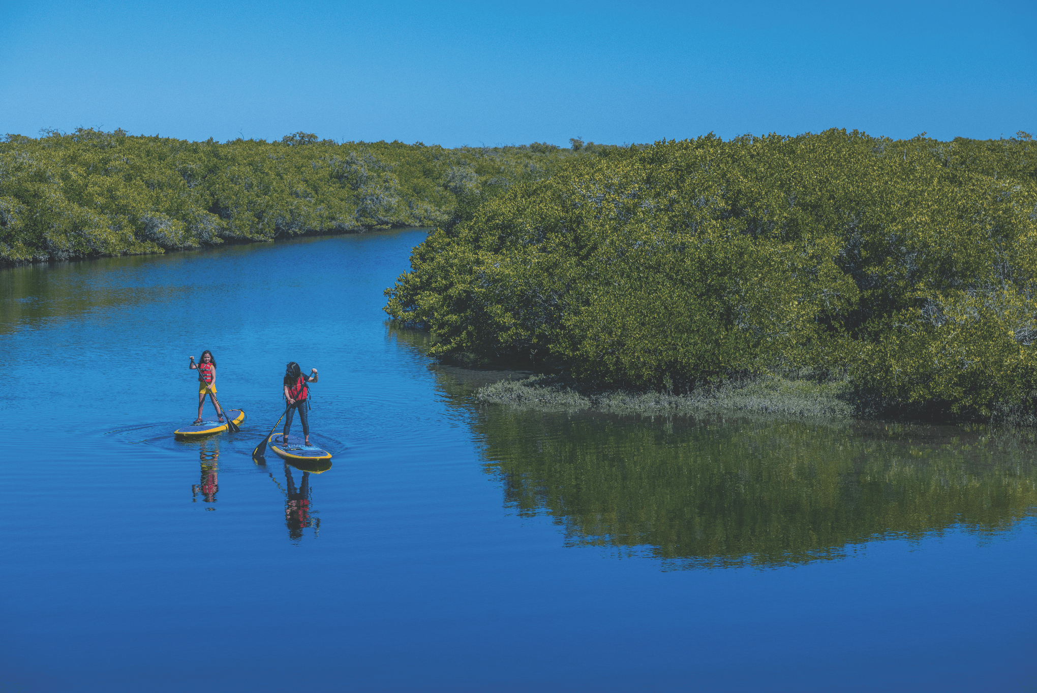 David Vargas_Punta Lengua-686-2.jpg