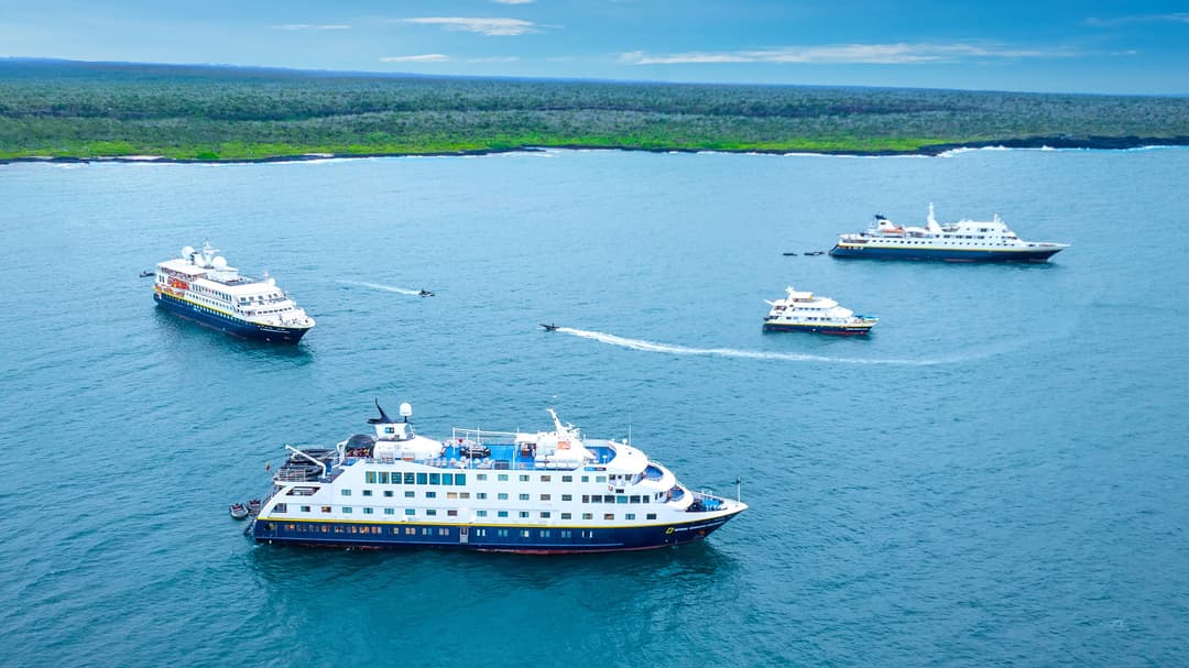 Celebrating the Newest Ships in the Galápagos Fleet - Article