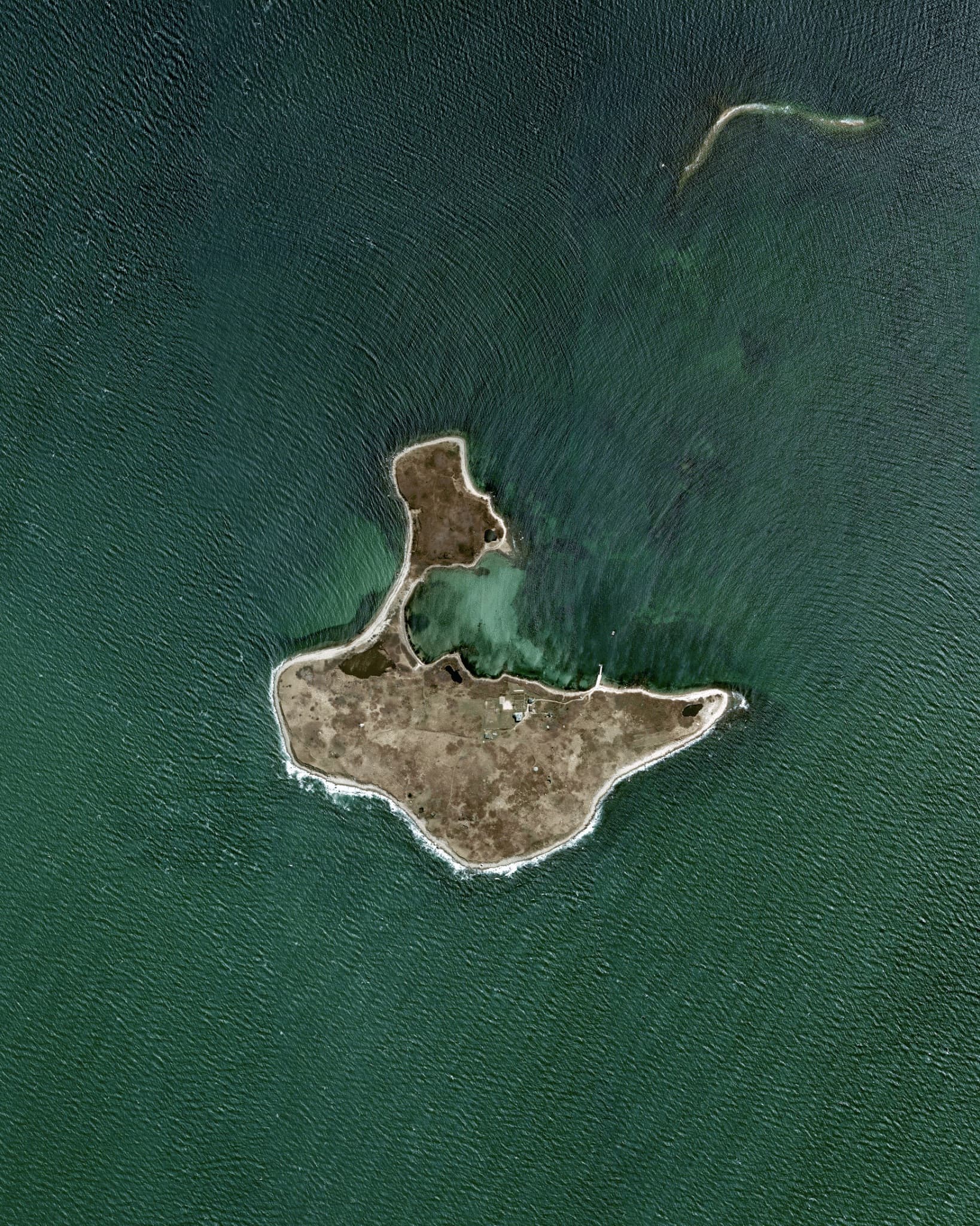 Penikese Island_Daily Overview.jpeg