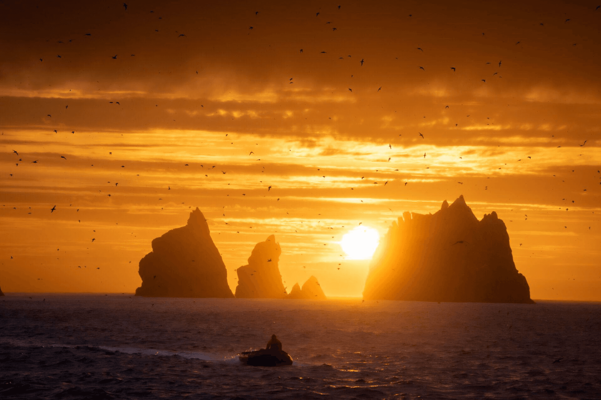 Hero Image snares island.jpg