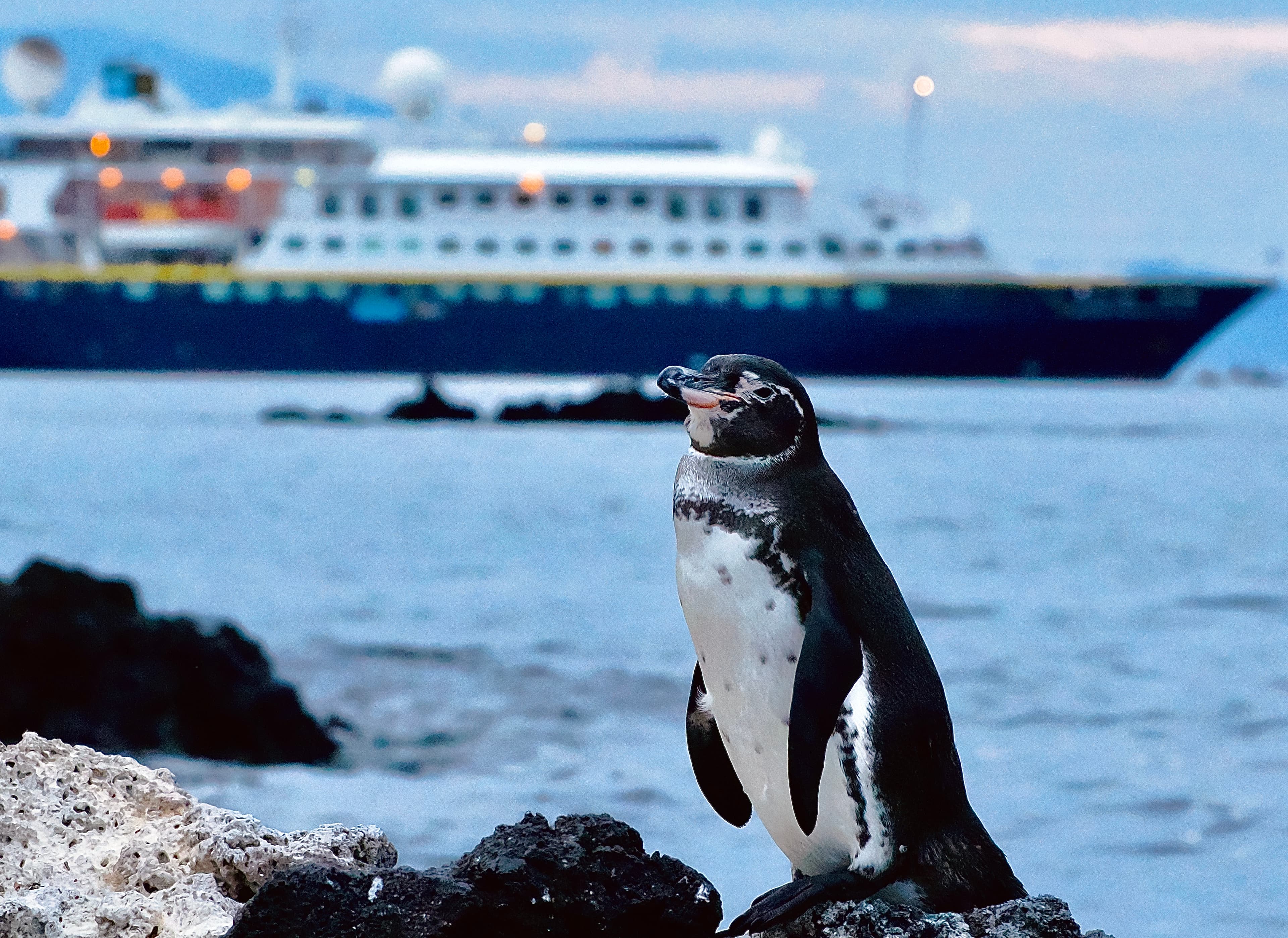 Ecuador-Galapagos-Fernandina IT162548 Omar Adrian P8140645 2