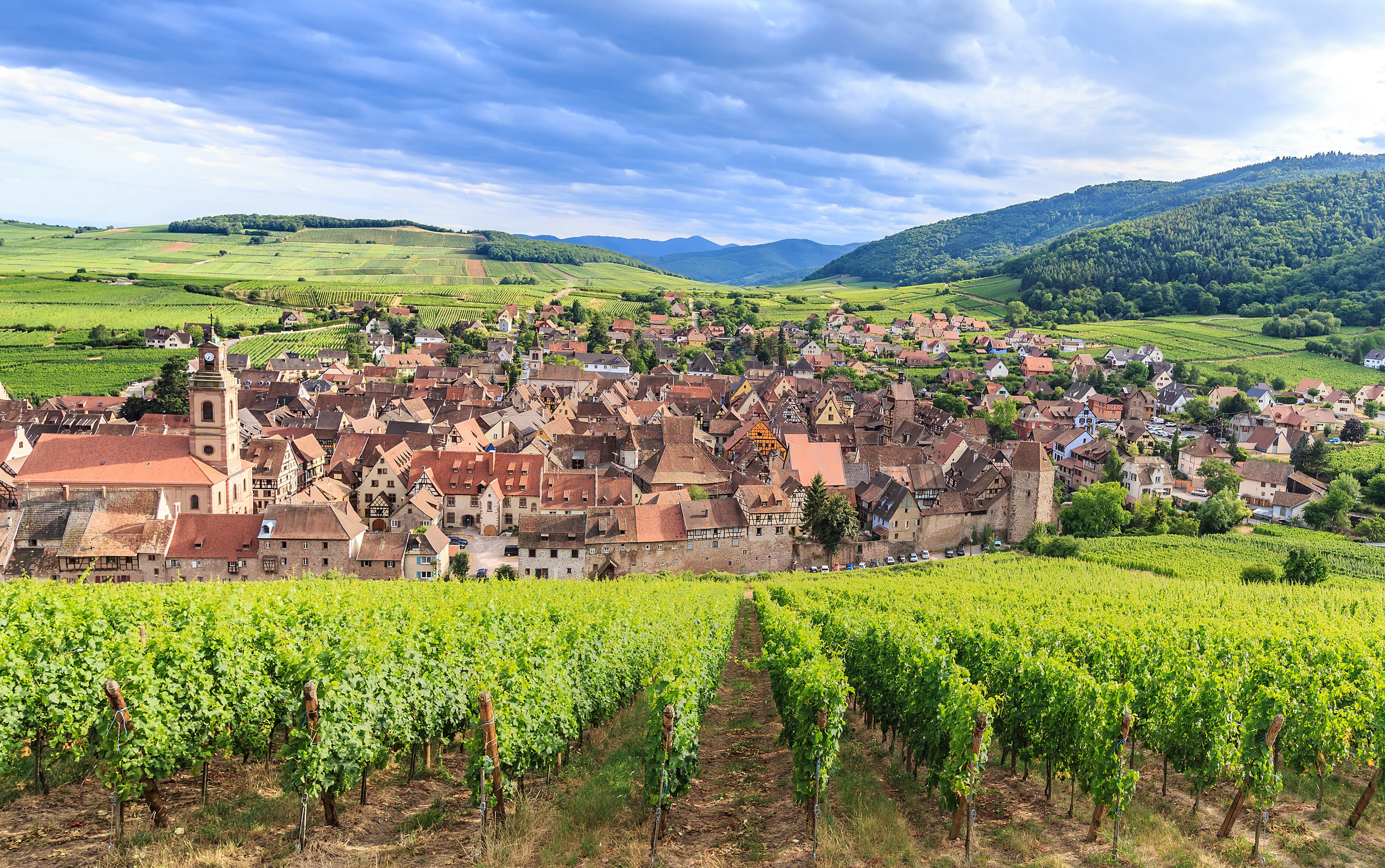 France Riquewihr Alsace istock525806248
