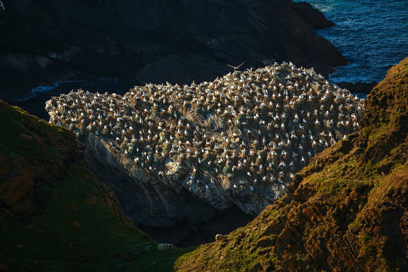 shutterstock 2585638079