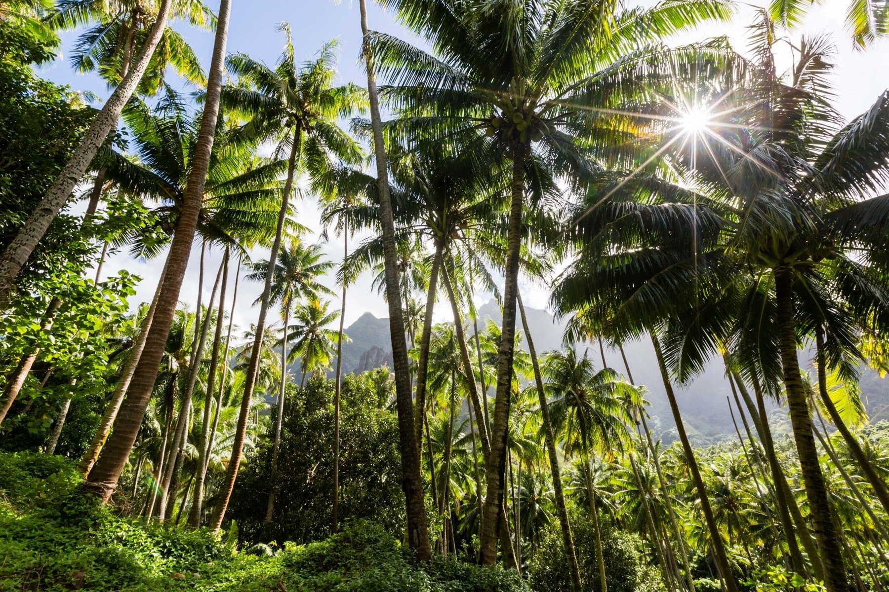 Hero Image mfp_0618_021.jpg