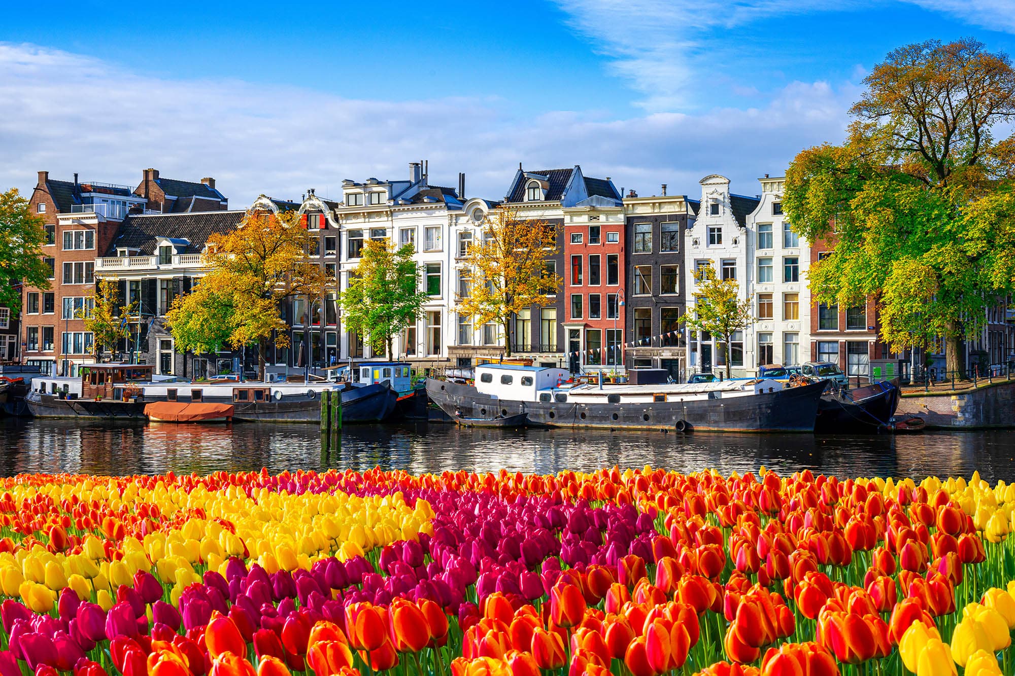 Netherlands North Holland Amsterdam istock2192860784