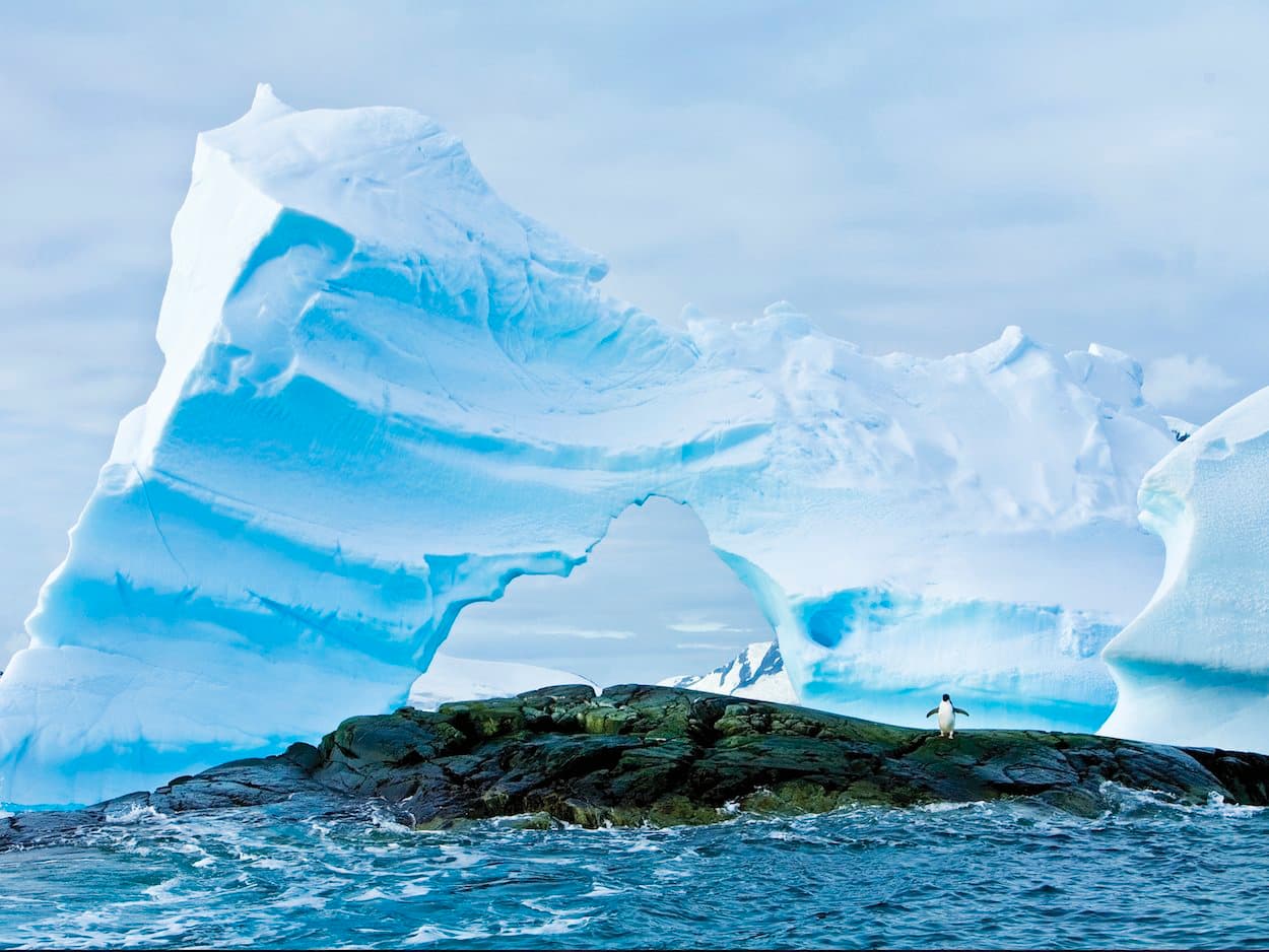 Antarctic Circle Ice with penguin.jpg