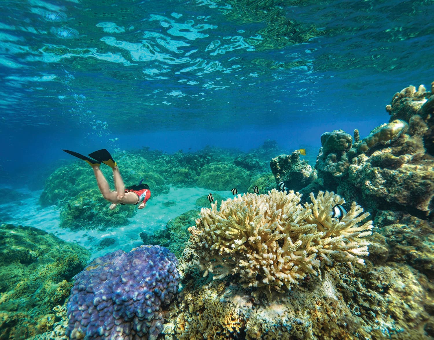 French Polynesia 2GKRD31 Alamy 2GKRD31