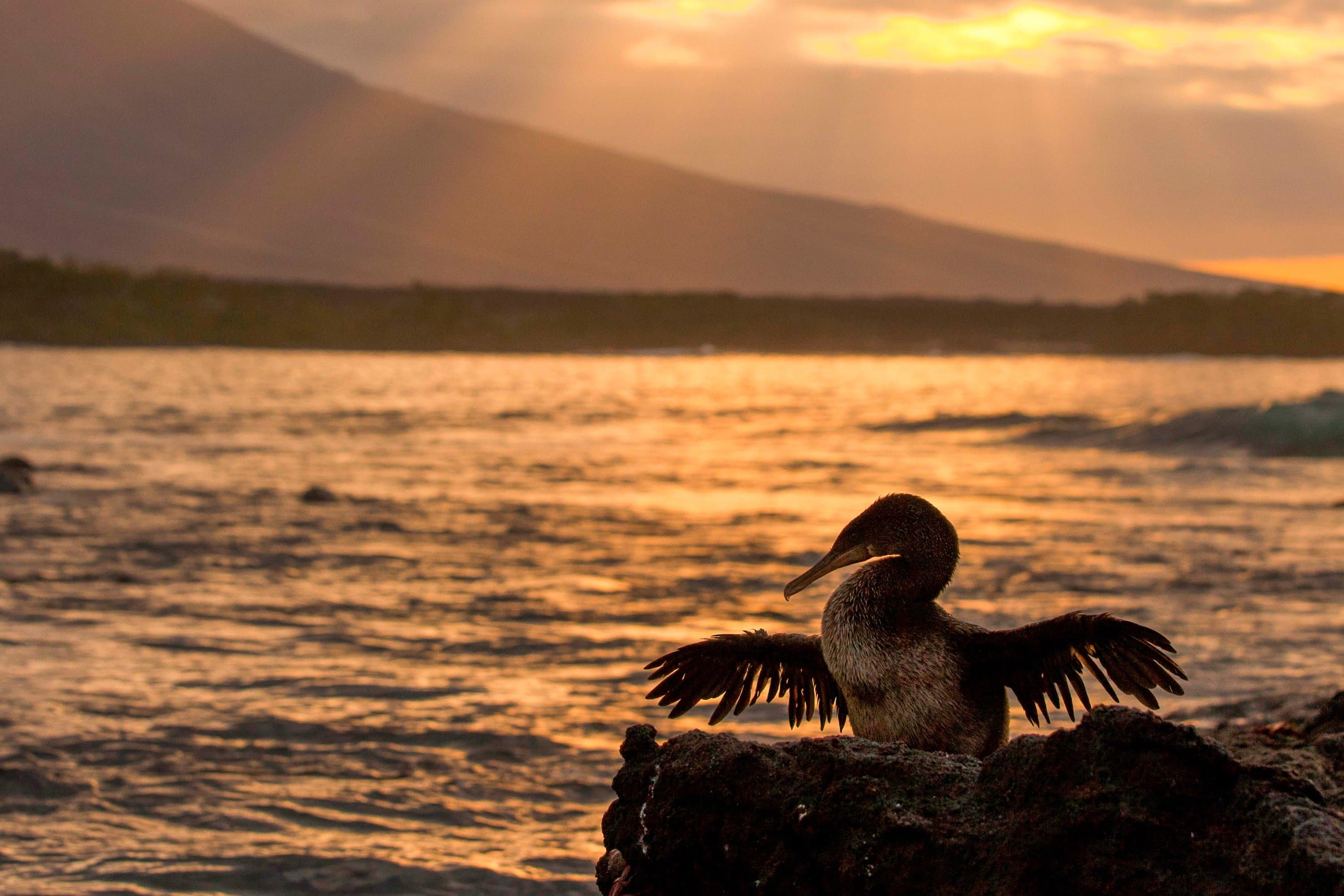 _Ralph Lee Hopkins_053_HOPKINS_GAL10_24020.jpg