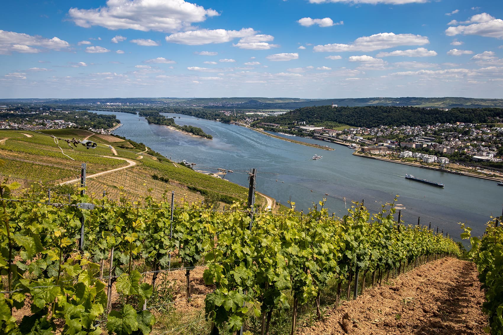 Large RGB-LEX-Germany Rüdesheim am Rhein Hesse istock1246349763