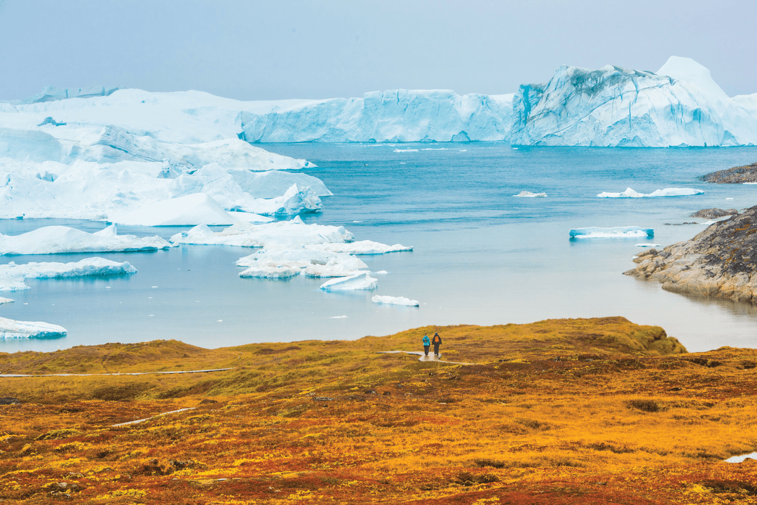 Top 8 Things to Do in and Around the Arctic Circle - Article