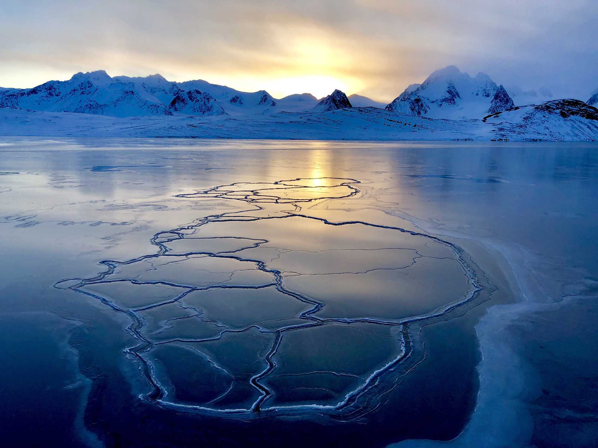 Hero Image Svalbard in Spring Main.jpg