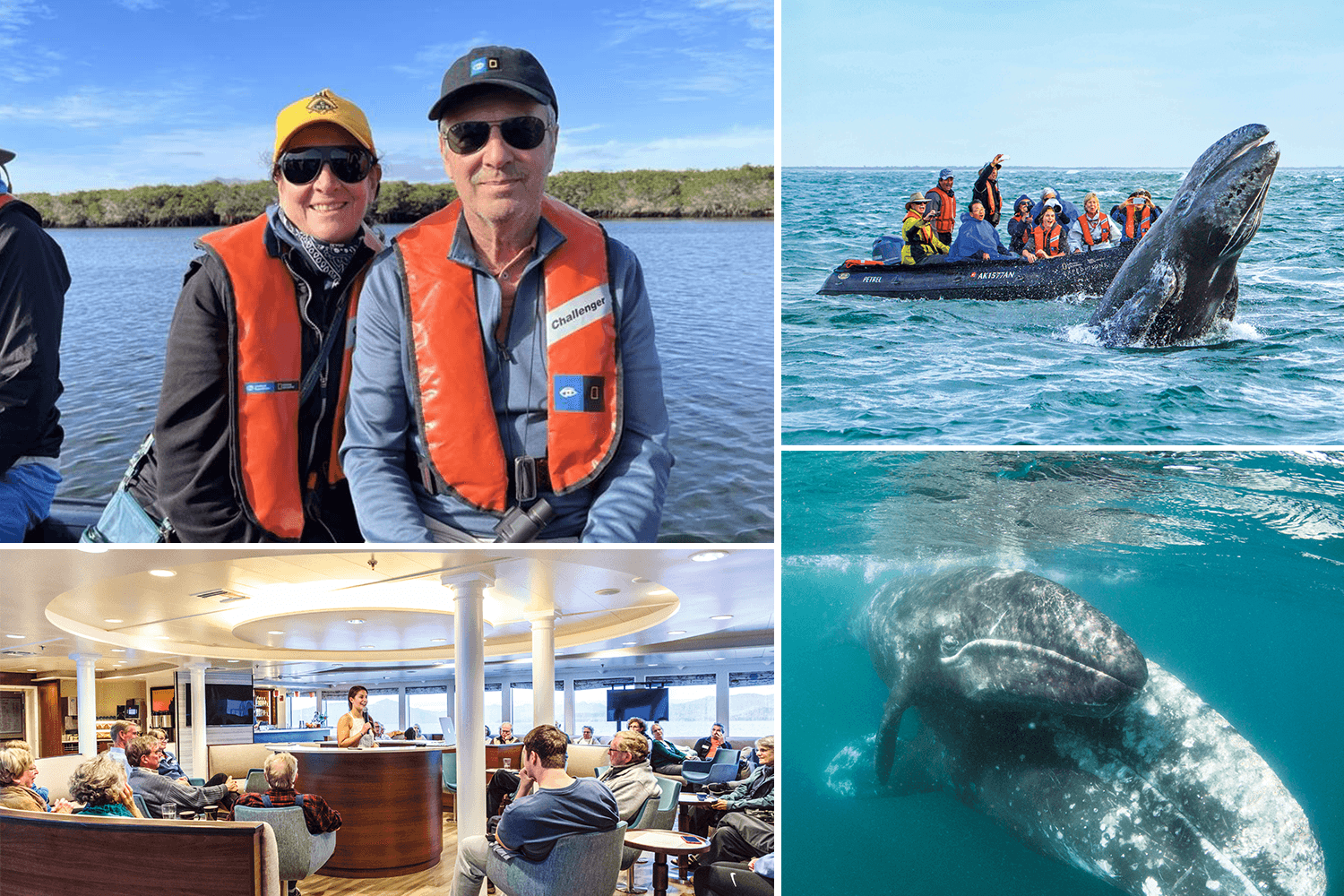 Geraldine and Craig Newman, Baja California