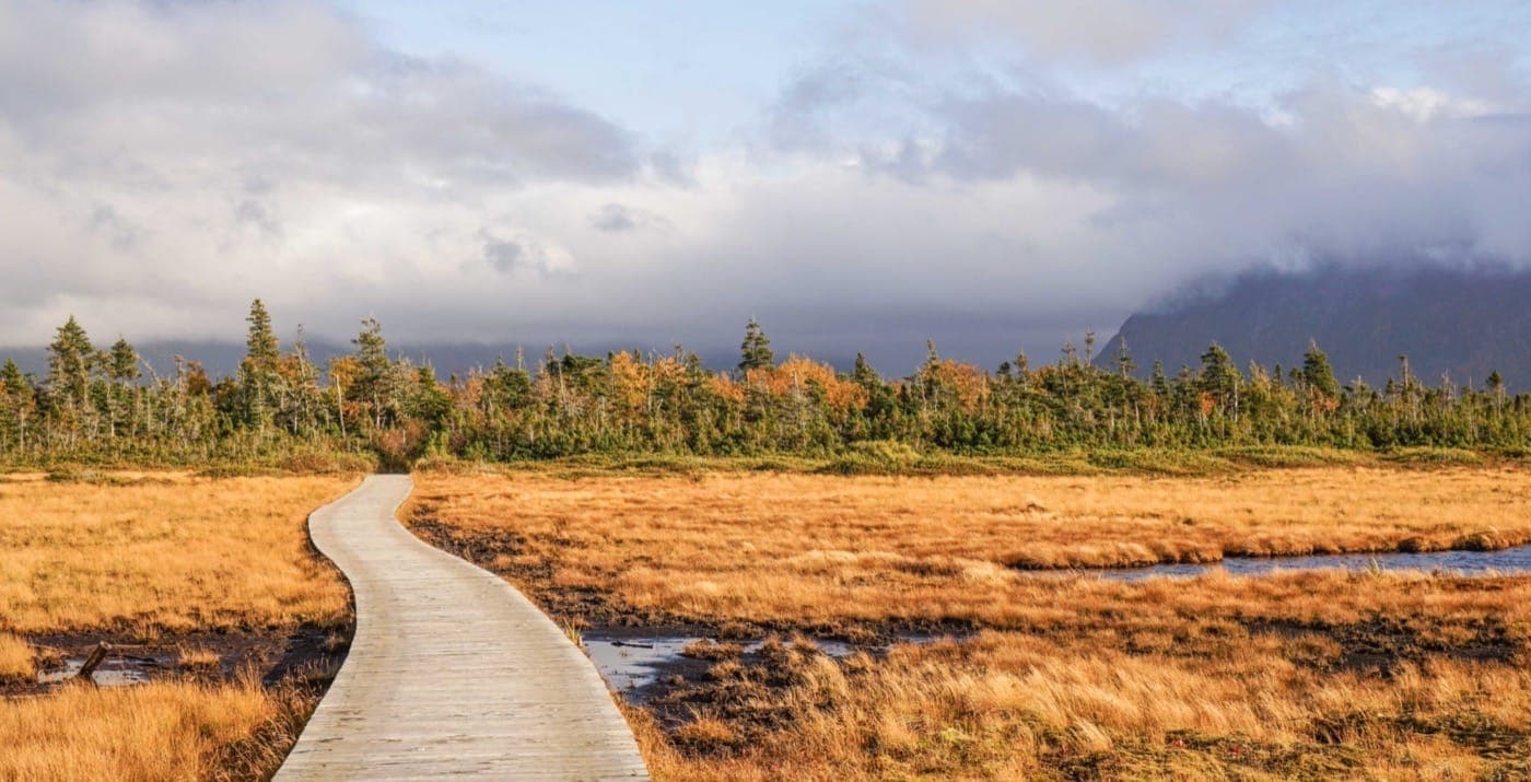 Gros-Morne-National-Park-Canada_Shutterstock.jpg