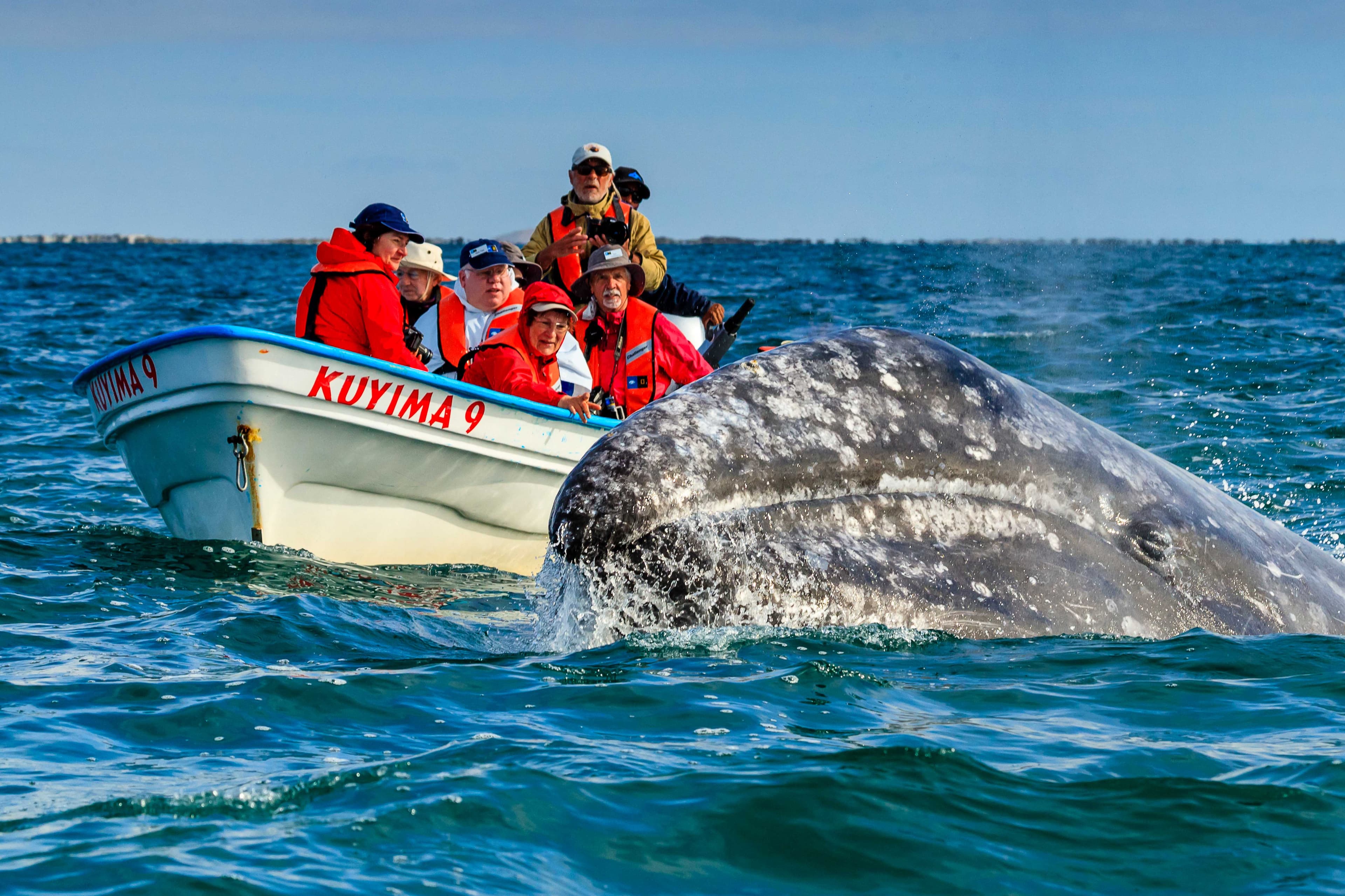 MicrosoftTeams-image (2).png