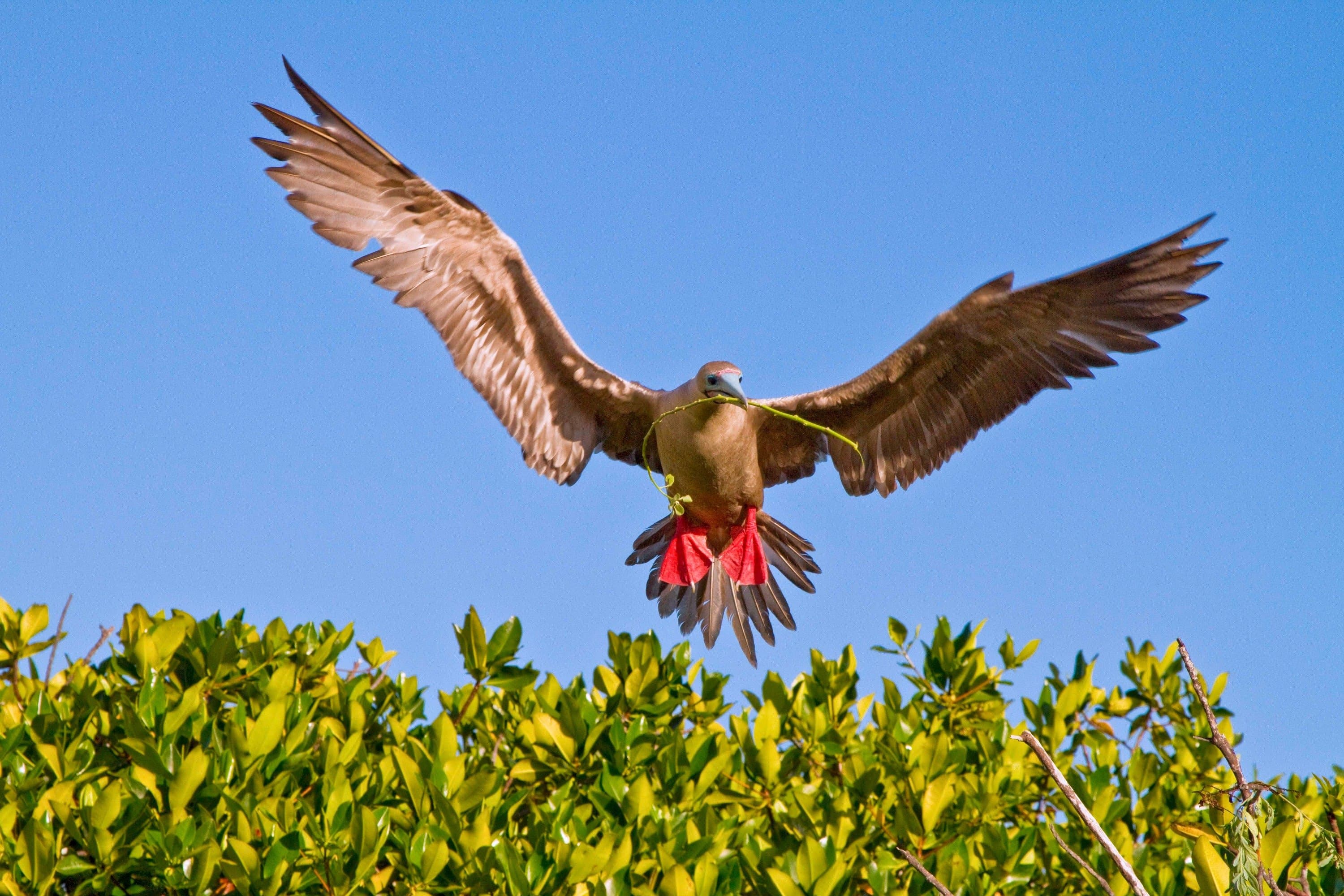 _Michael S. Nolan_Ssu_0511_012.jpg