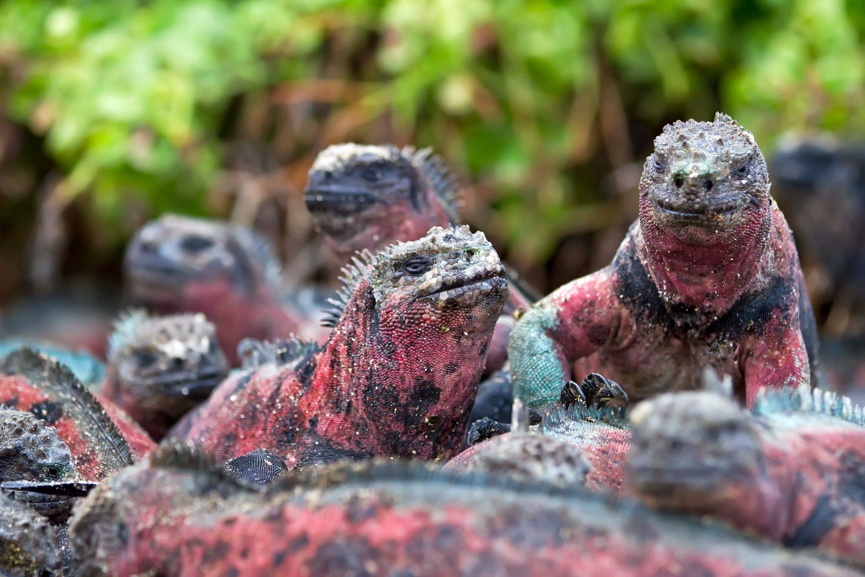 Hero Image _Michael S. Nolan_Acr_1210_098.jpg