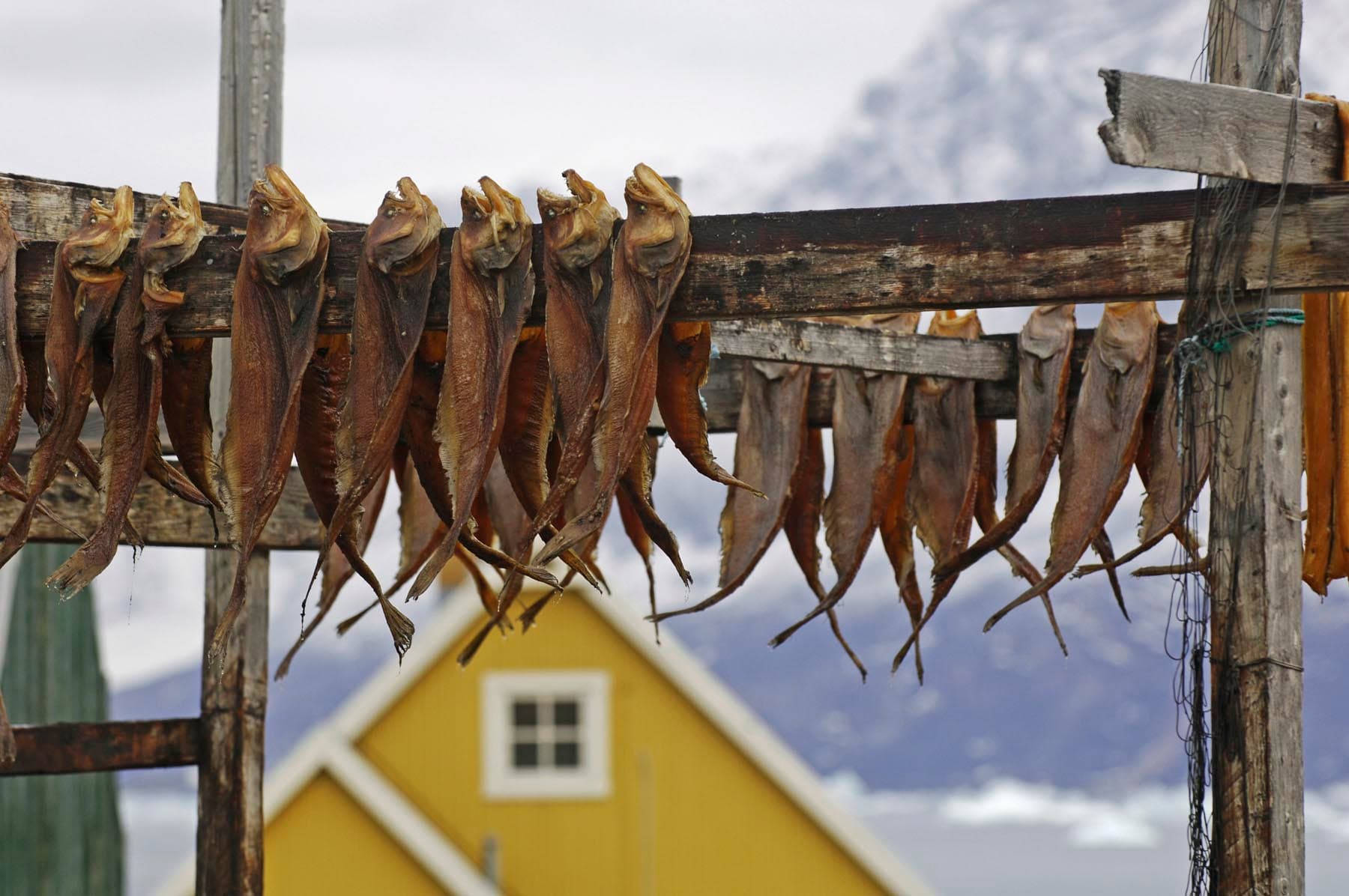 Hero Image Header image_iStock-471124515.jpg