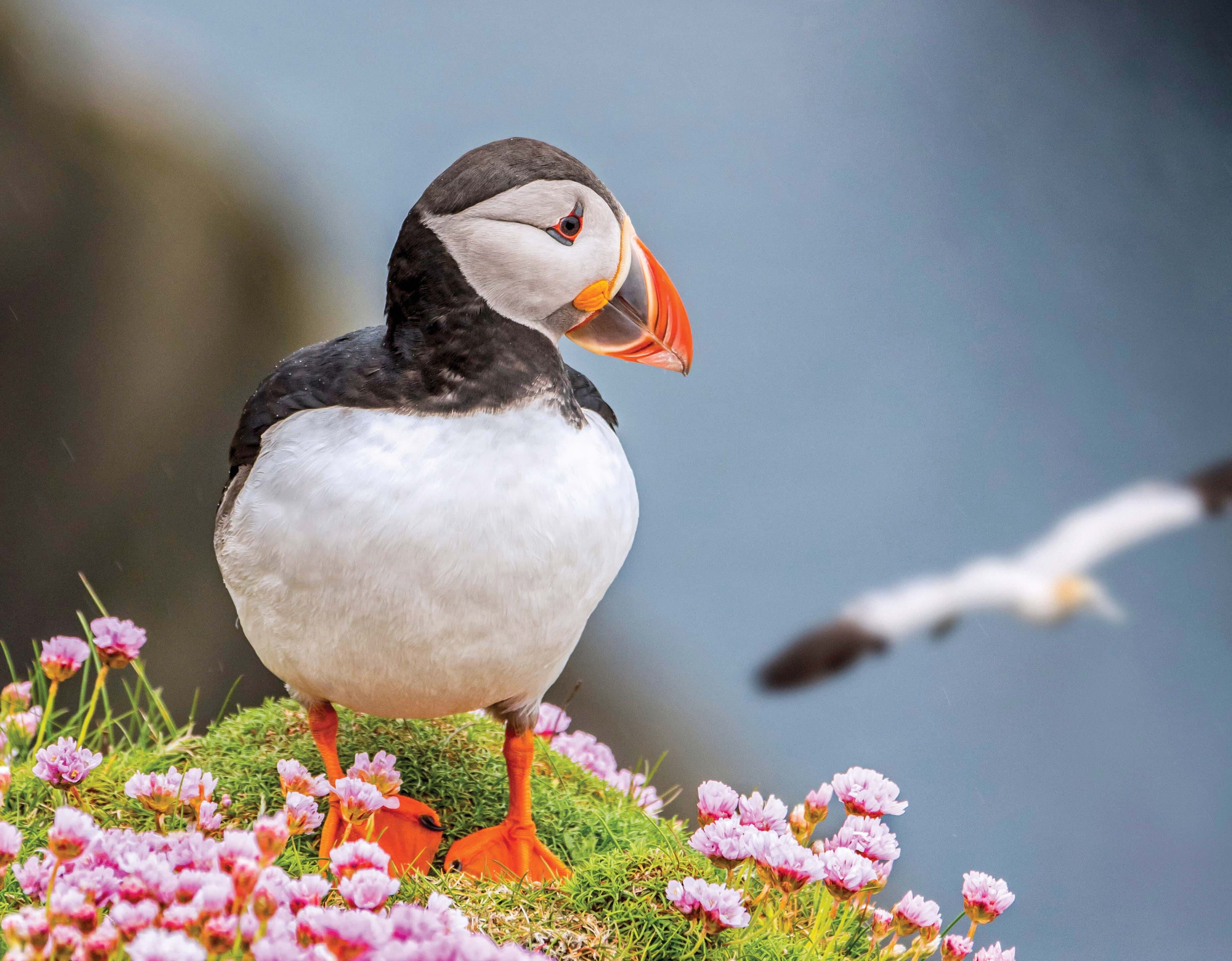 05_Large RGB-LEX-Scotland Shutterstock 1342253996 BI416.jpg