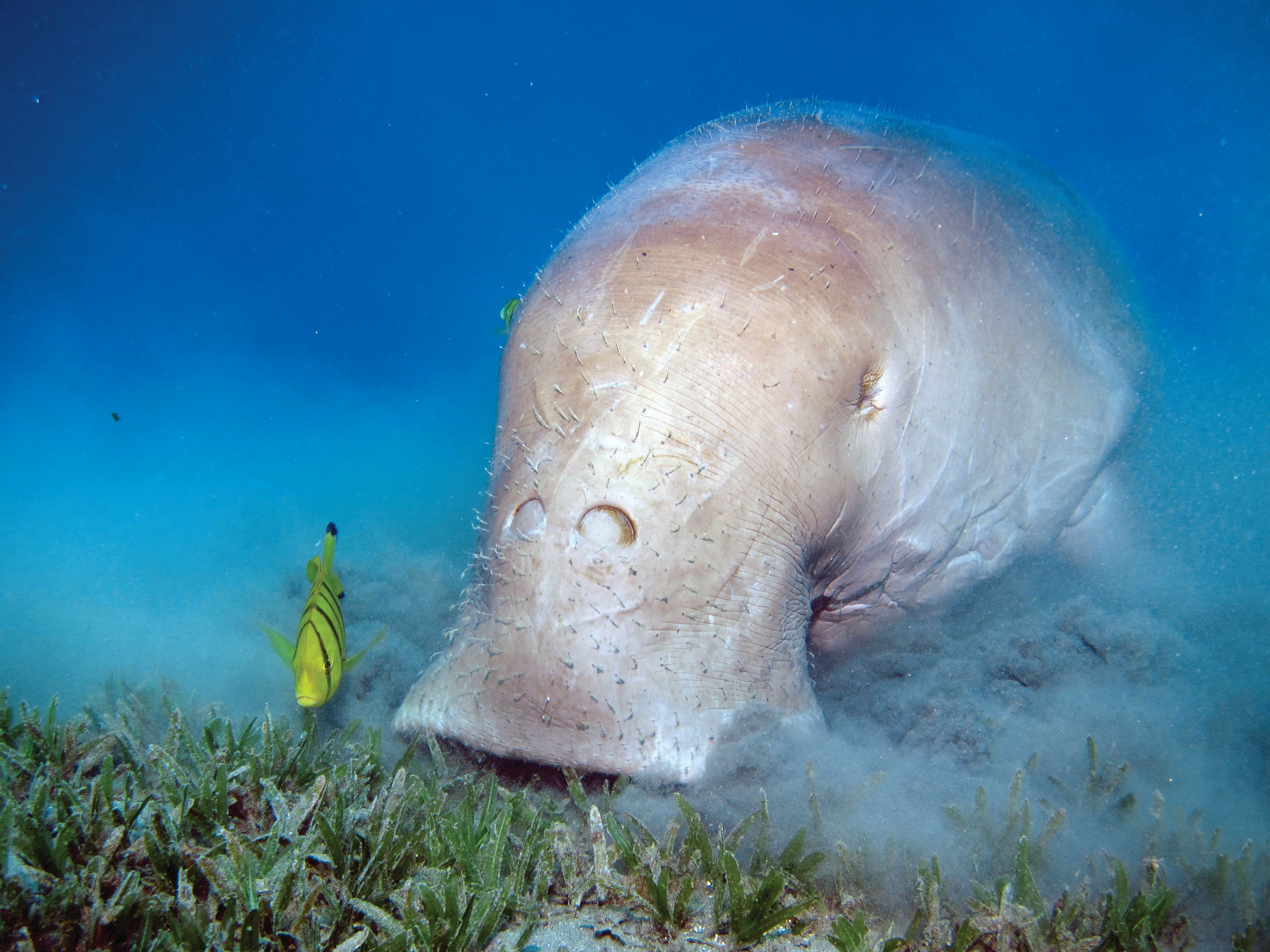 CSA 20-Lindblad Expeditions-Photo License.jpg