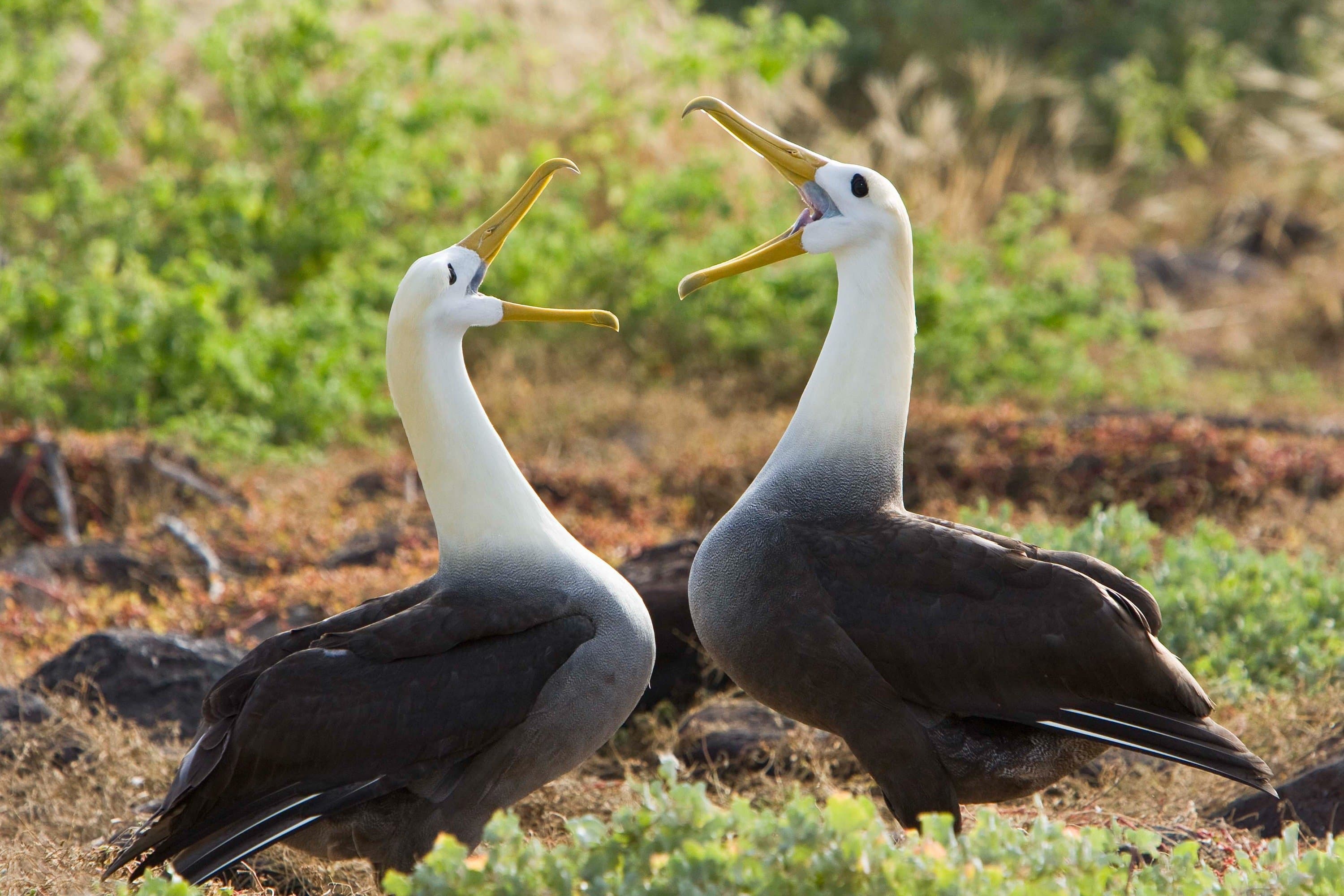 _Michael S. Nolan_Di_0508__073.jpg